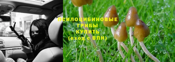 круглые Абаза